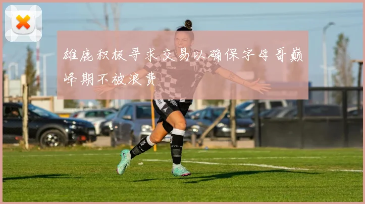雄鹿积极寻求交易以确保字母哥巅峰期不被浪费