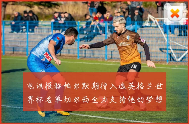 电讯报称帕尔默期待入选英格兰世界杯名单切尔西全力支持他的梦想