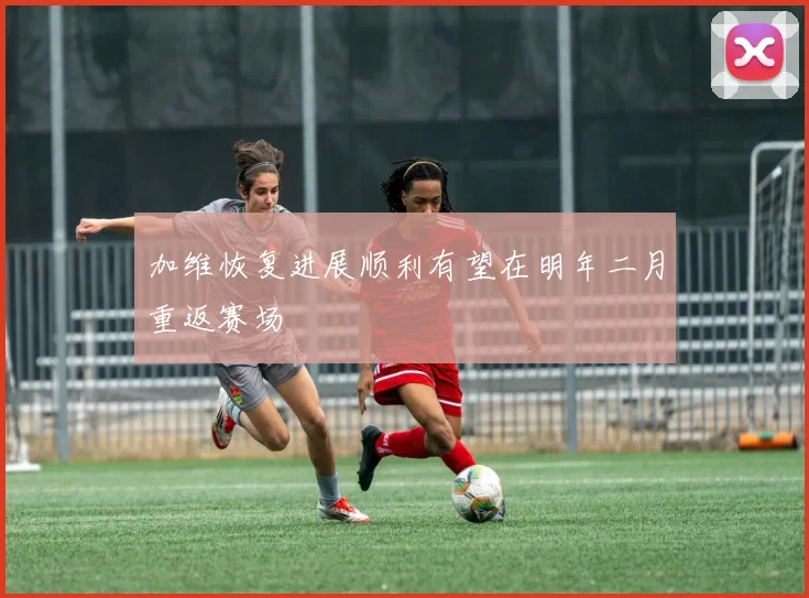 加维恢复进展顺利有望在明年二月重返赛场